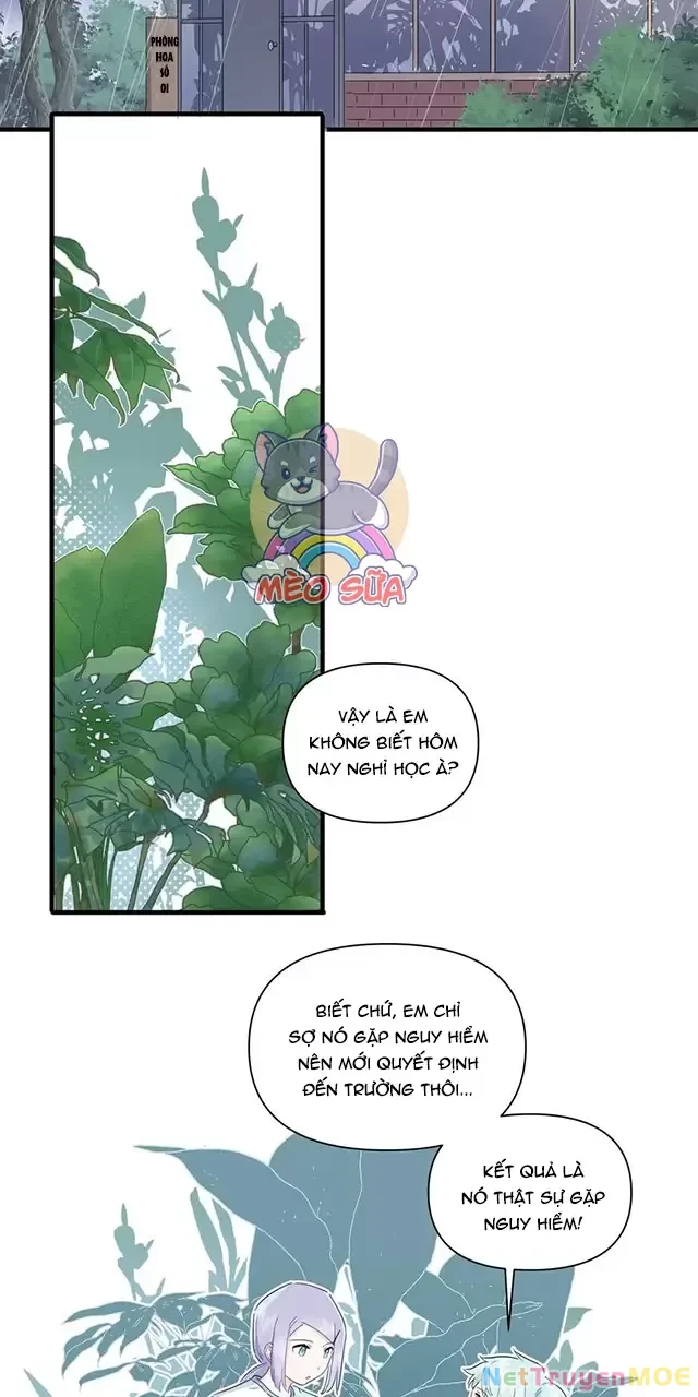 Tình Yêu Đã Cho Tôi Siêu Năng Lực Chapter 33 - Trang 21