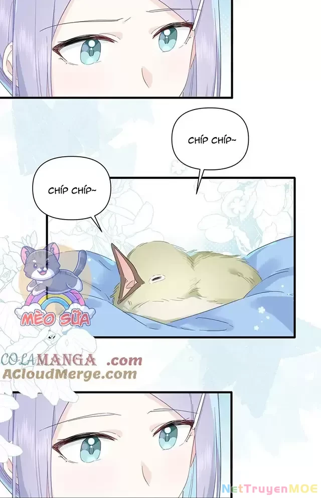 Tình Yêu Đã Cho Tôi Siêu Năng Lực Chapter 33 - Trang 38