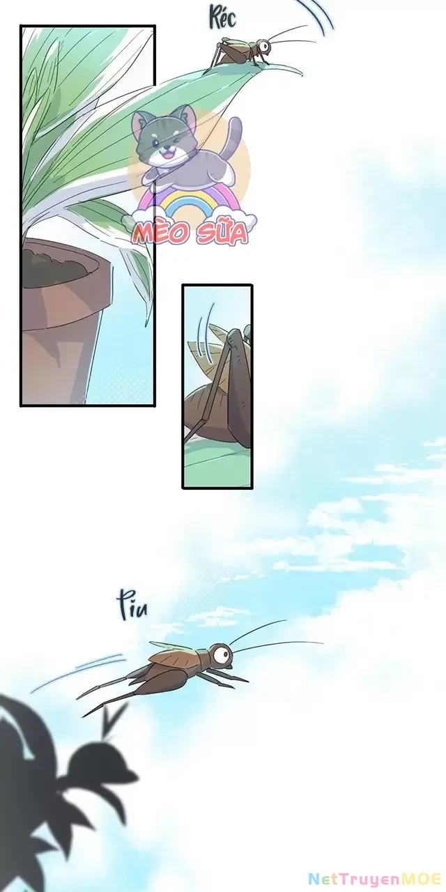 Tình Yêu Đã Cho Tôi Siêu Năng Lực Chapter 39 - Trang 4