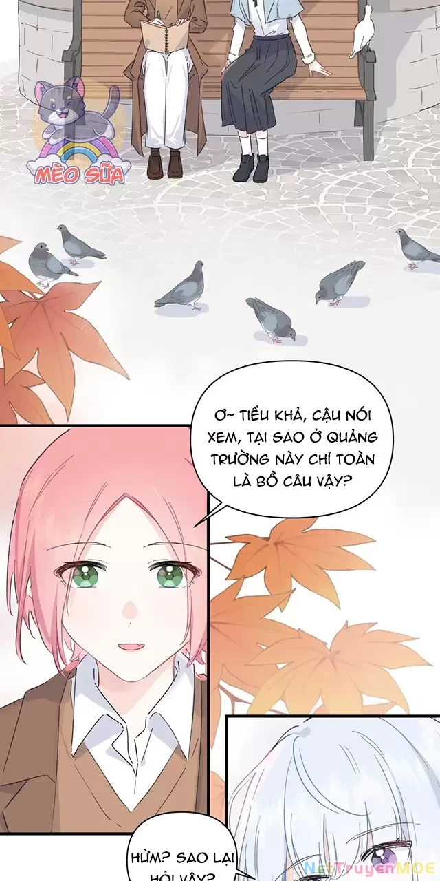 Tình Yêu Đã Cho Tôi Siêu Năng Lực Chapter 53 - Trang 6