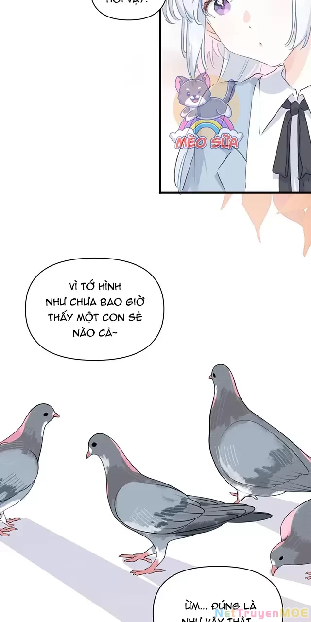 Tình Yêu Đã Cho Tôi Siêu Năng Lực Chapter 53 - Trang 7