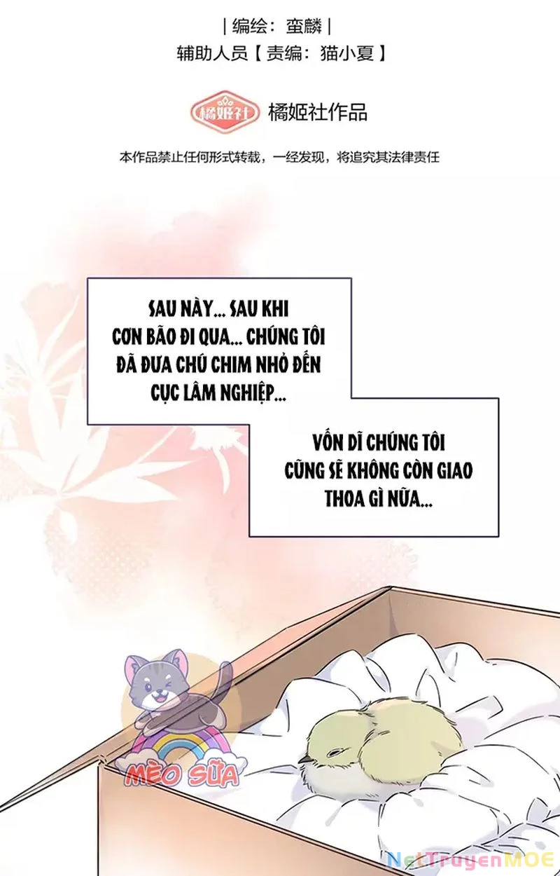 Tình Yêu Đã Cho Tôi Siêu Năng Lực Chapter 61 - Trang 3