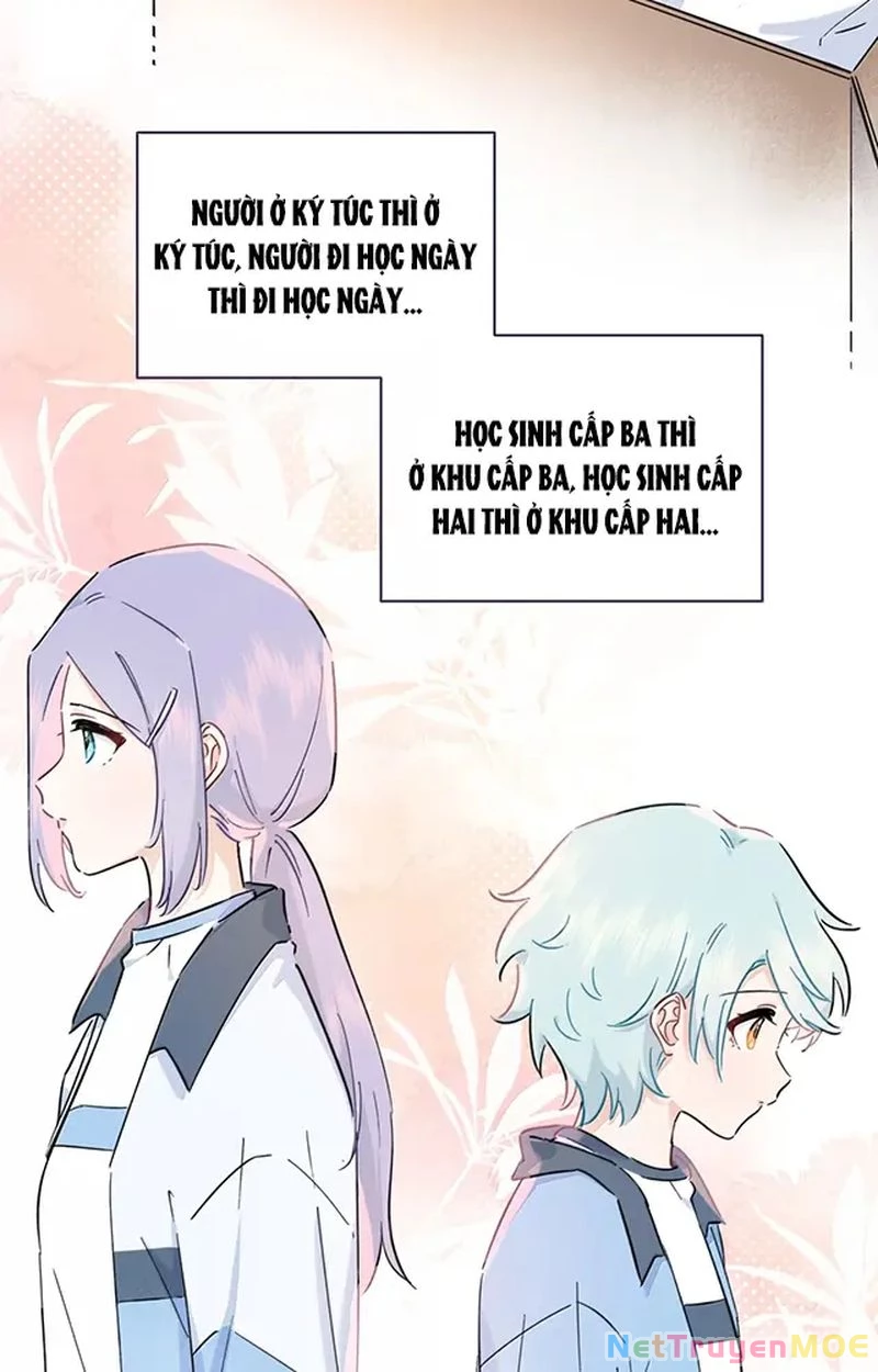 Tình Yêu Đã Cho Tôi Siêu Năng Lực Chapter 61 - Trang 4