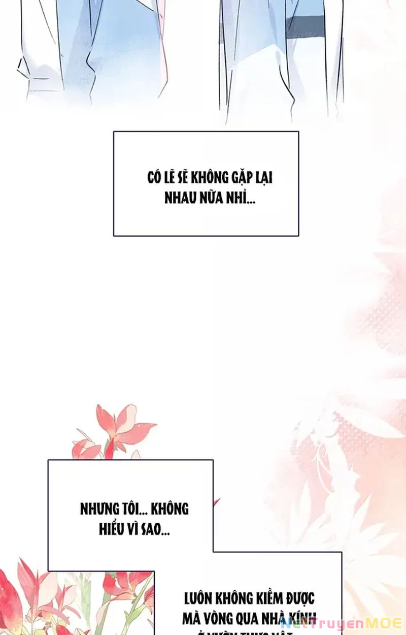 Tình Yêu Đã Cho Tôi Siêu Năng Lực Chapter 61 - Trang 5