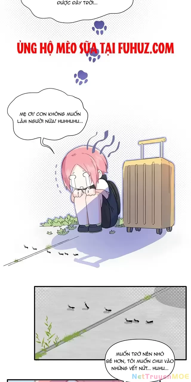 Tình Yêu Đã Cho Tôi Siêu Năng Lực Chapter 8 - Trang 19