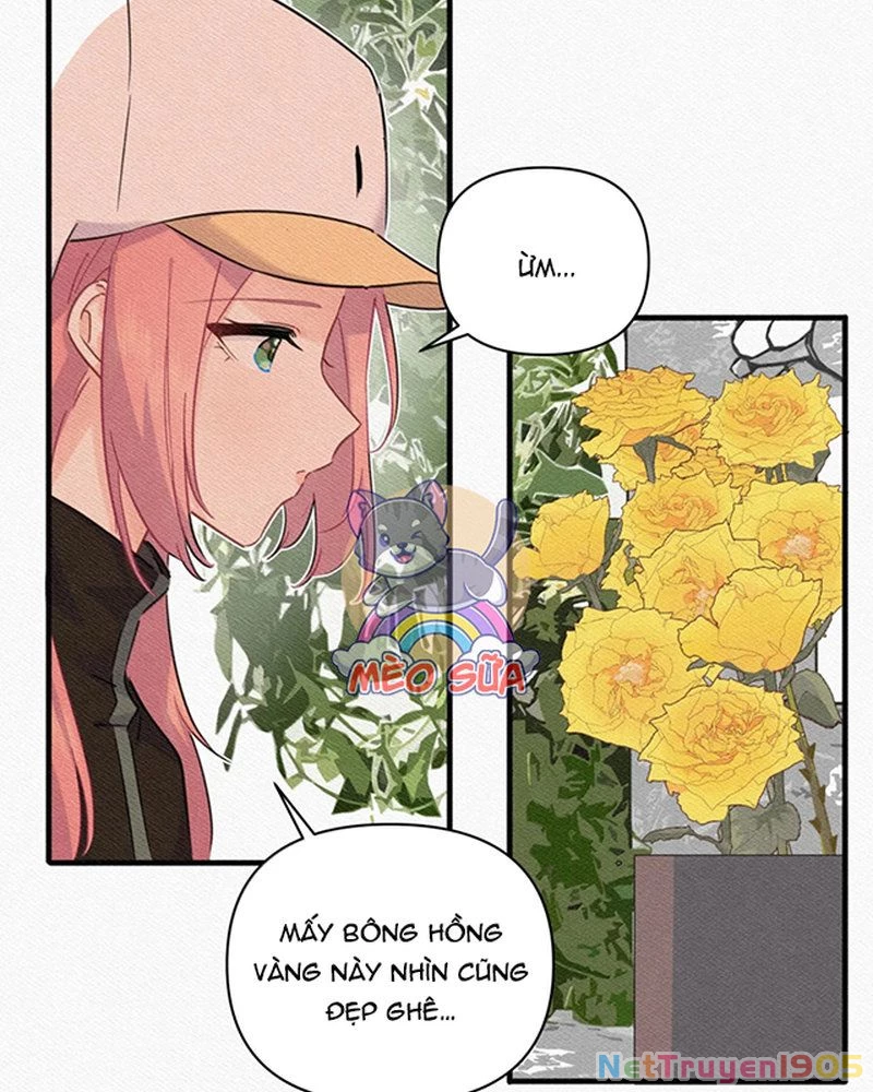 Tình Yêu Đã Cho Tôi Siêu Năng Lực Chapter 84 - Trang 23