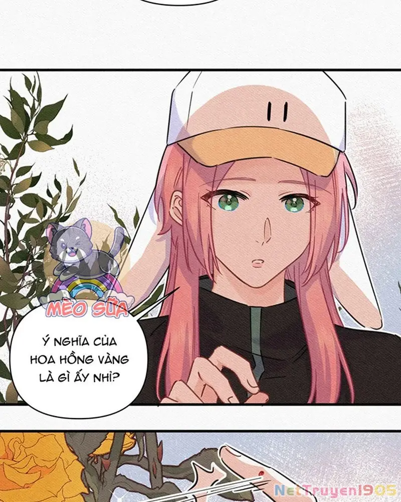Tình Yêu Đã Cho Tôi Siêu Năng Lực Chapter 84 - Trang 24