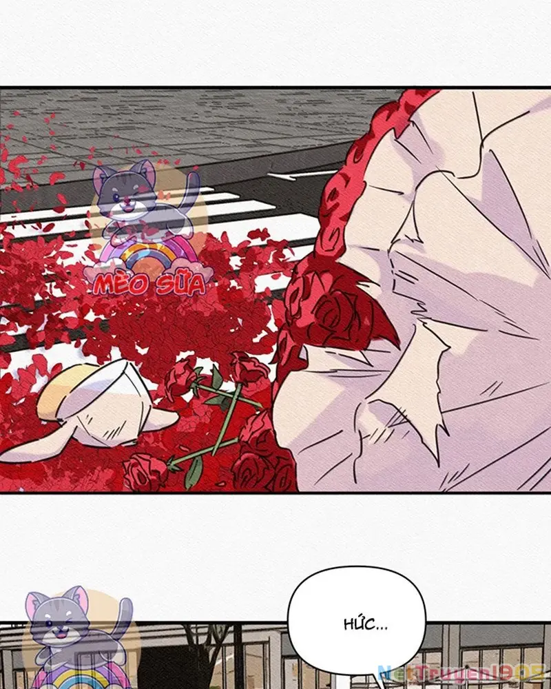 Tình Yêu Đã Cho Tôi Siêu Năng Lực Chapter 84 - Trang 50