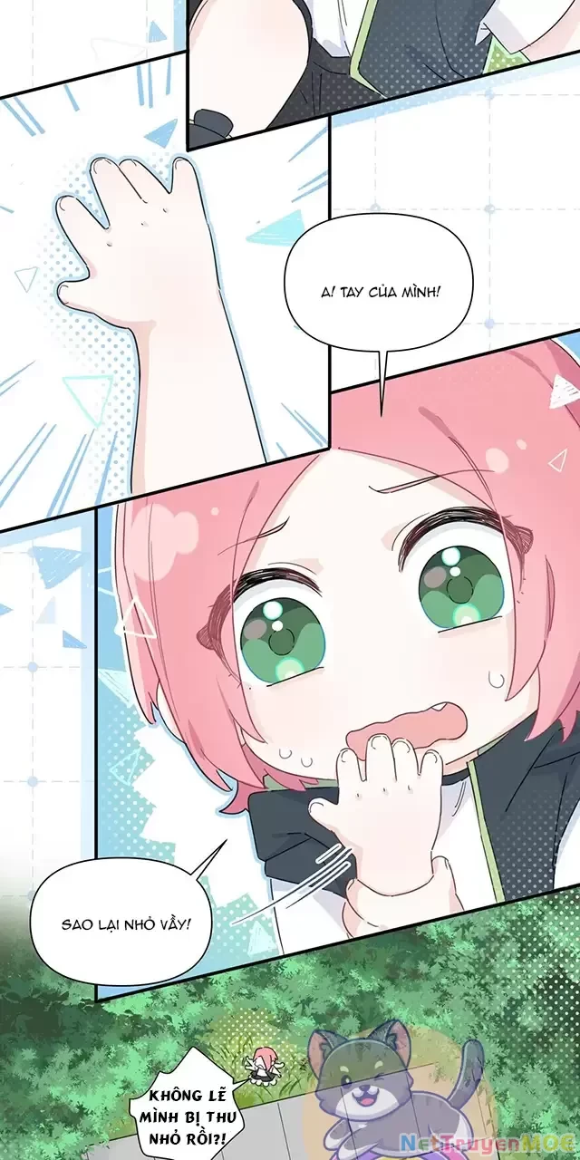 Tình Yêu Đã Cho Tôi Siêu Năng Lực Chapter 9 - Trang 6