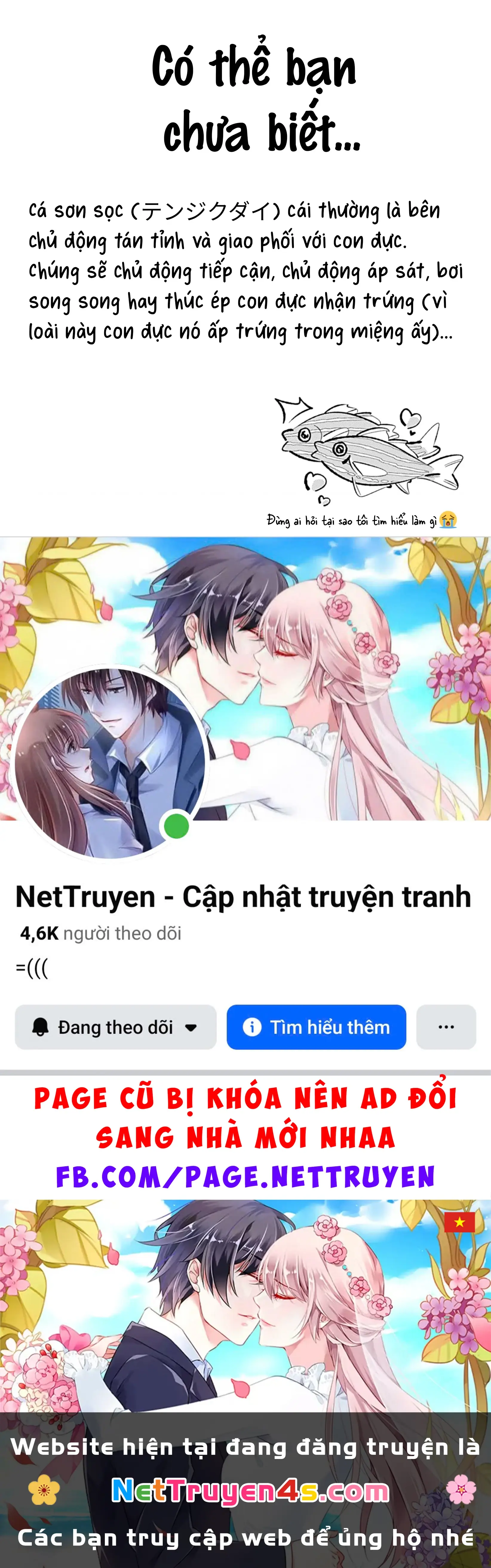 Tình Yêu Và Nàng Tiên Cá Chapter 4 - Trang 21