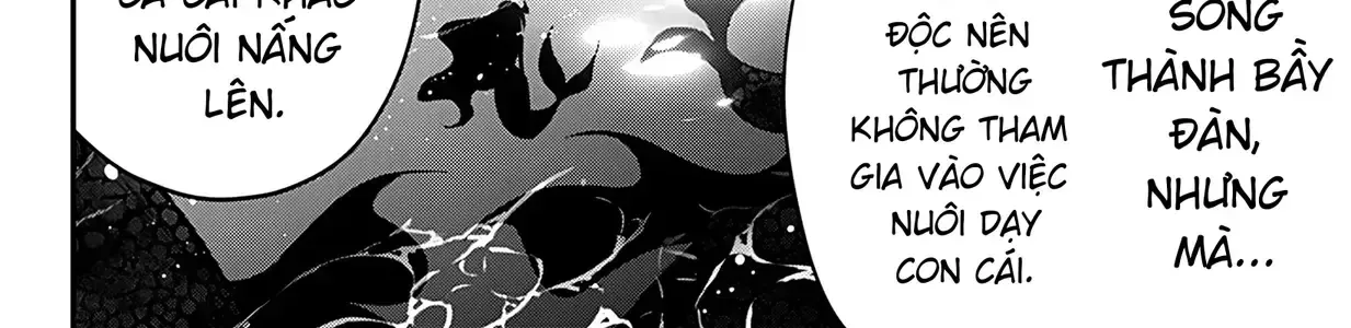 Tình Yêu Và Nàng Tiên Cá Chapter 6 - Trang 33