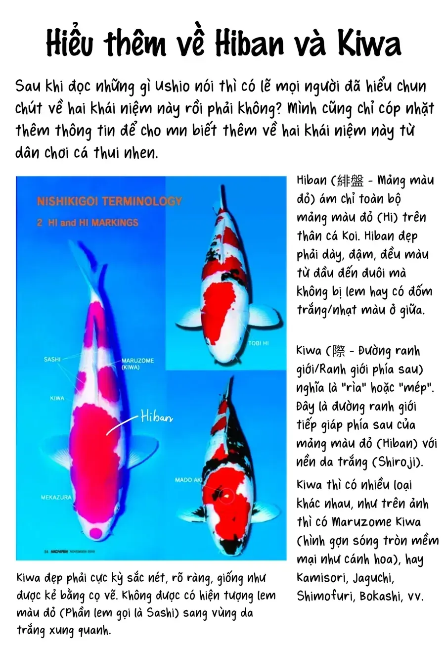 Tình Yêu Và Nàng Tiên Cá Chapter 7 - Trang 26