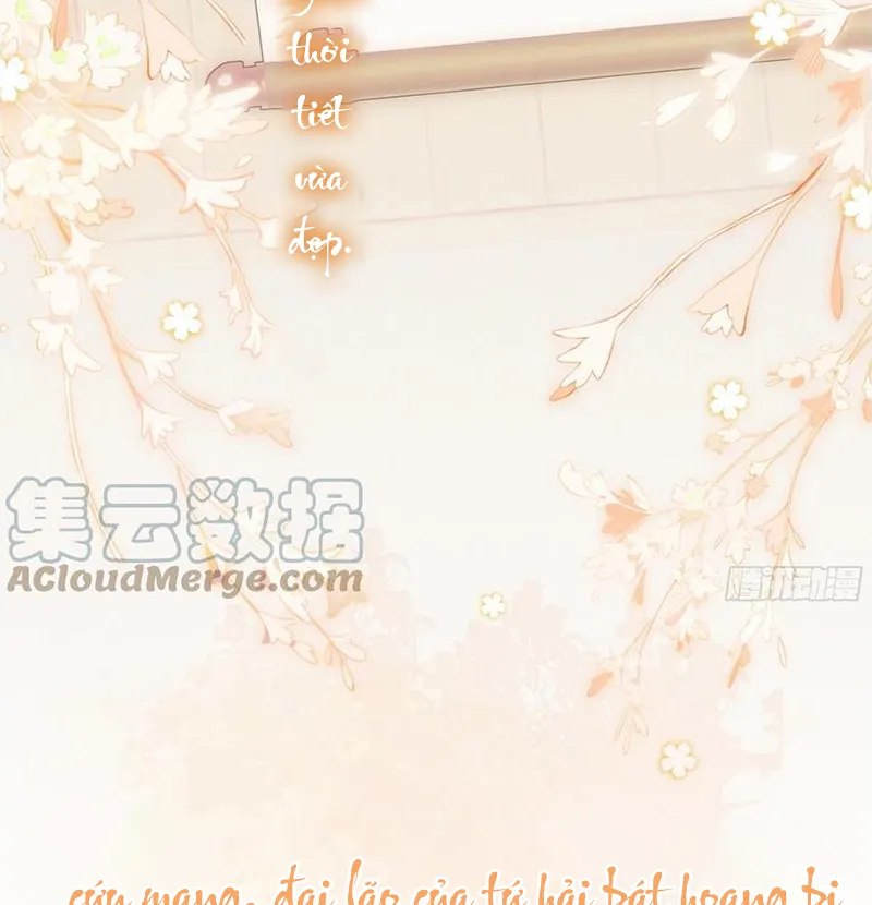 Tổ Chim Phượng Hoàng Chapter 0.5 - Trang 25