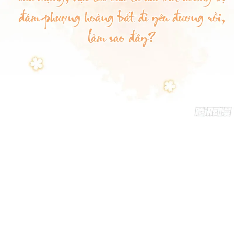 Tổ Chim Phượng Hoàng Chapter 0.5 - Trang 26