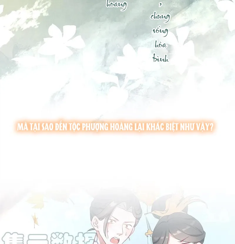 Tổ Chim Phượng Hoàng Chapter 0.5 - Trang 5