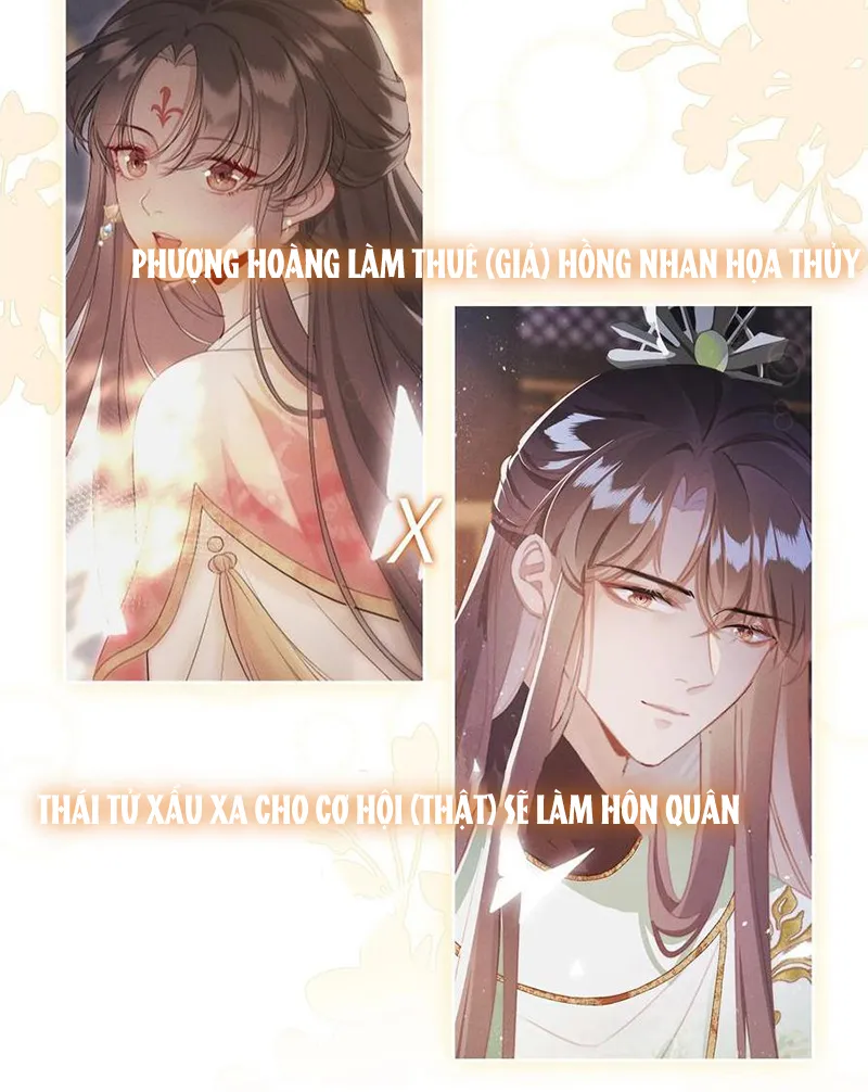 Tổ Chim Phượng Hoàng Chapter 0 - Trang 14
