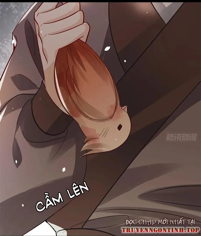 Tổ Chim Phượng Hoàng Chapter 1 - Trang 15
