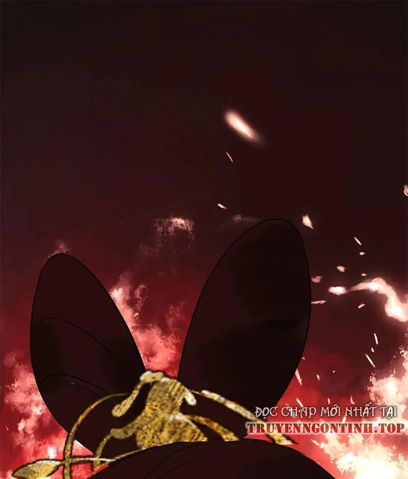 Tổ Chim Phượng Hoàng Chapter 1 - Trang 2