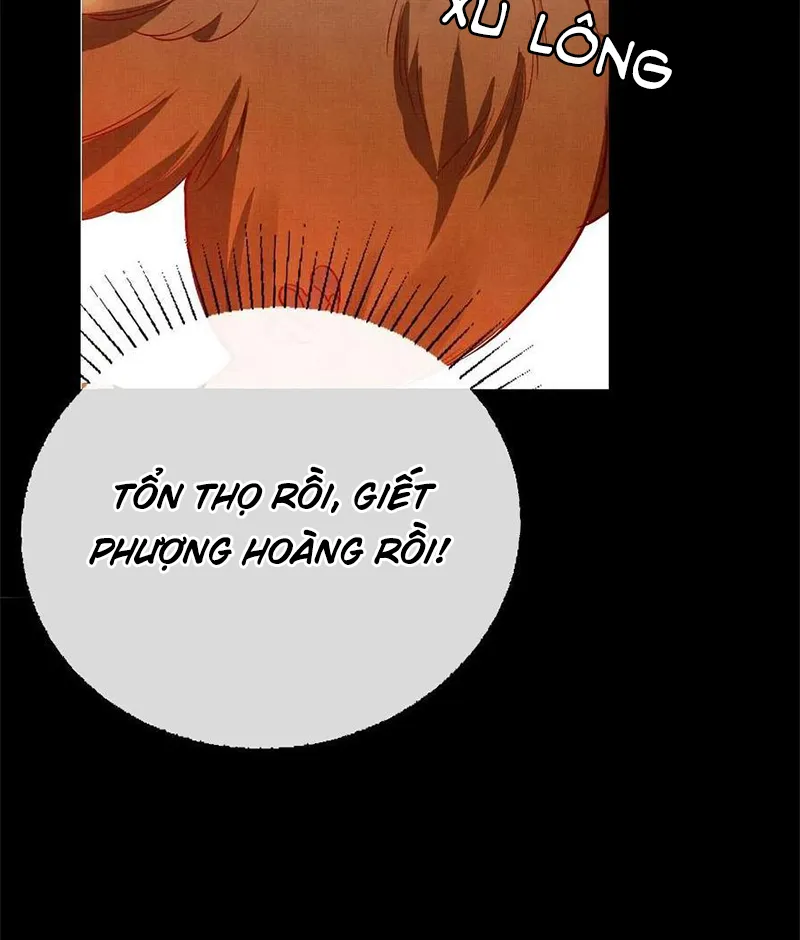 Tổ Chim Phượng Hoàng Chapter 1 - Trang 23
