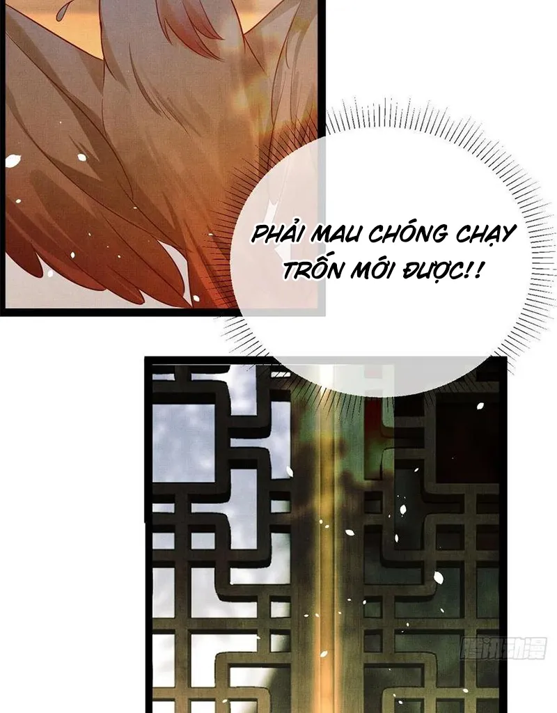 Tổ Chim Phượng Hoàng Chapter 1 - Trang 32