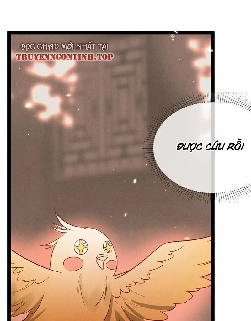 Tổ Chim Phượng Hoàng Chapter 1 - Trang 34