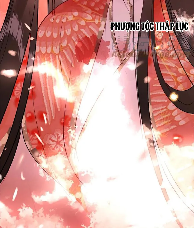Tổ Chim Phượng Hoàng Chapter 1 - Trang 4