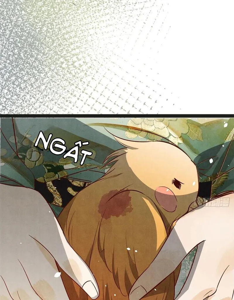 Tổ Chim Phượng Hoàng Chapter 1 - Trang 42