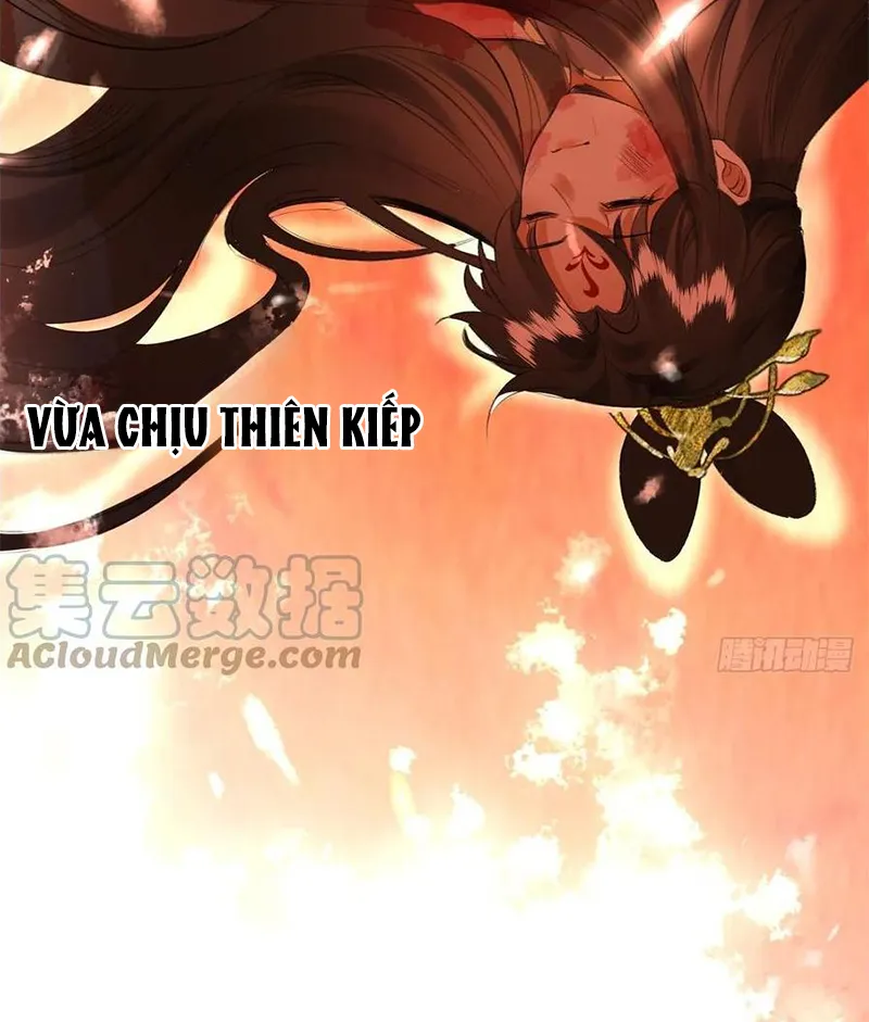 Tổ Chim Phượng Hoàng Chapter 1 - Trang 7