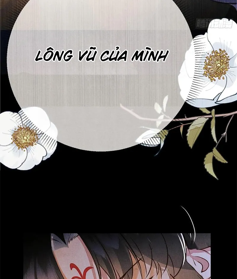 Tổ Chim Phượng Hoàng Chapter 2 - Trang 11