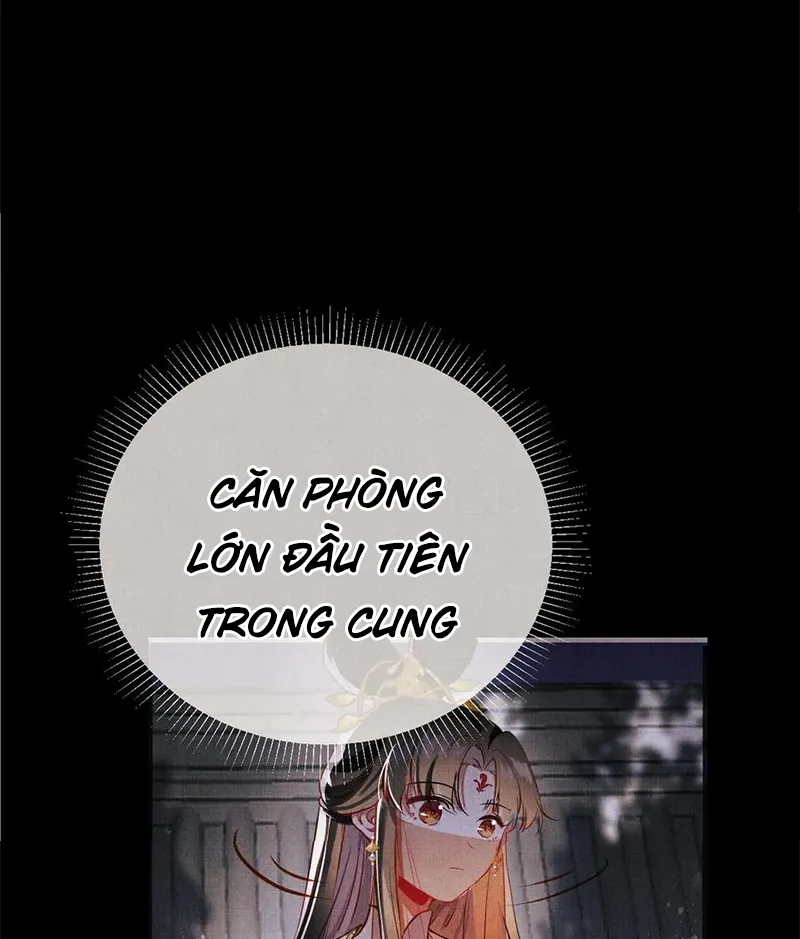 Tổ Chim Phượng Hoàng Chapter 2 - Trang 13