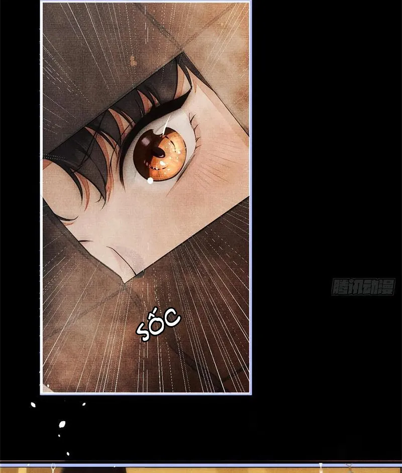 Tổ Chim Phượng Hoàng Chapter 2 - Trang 19