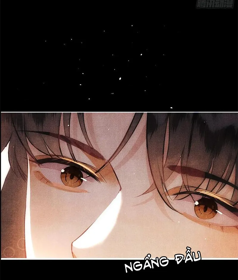 Tổ Chim Phượng Hoàng Chapter 2 - Trang 23