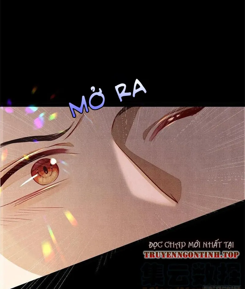 Tổ Chim Phượng Hoàng Chapter 3 - Trang 4