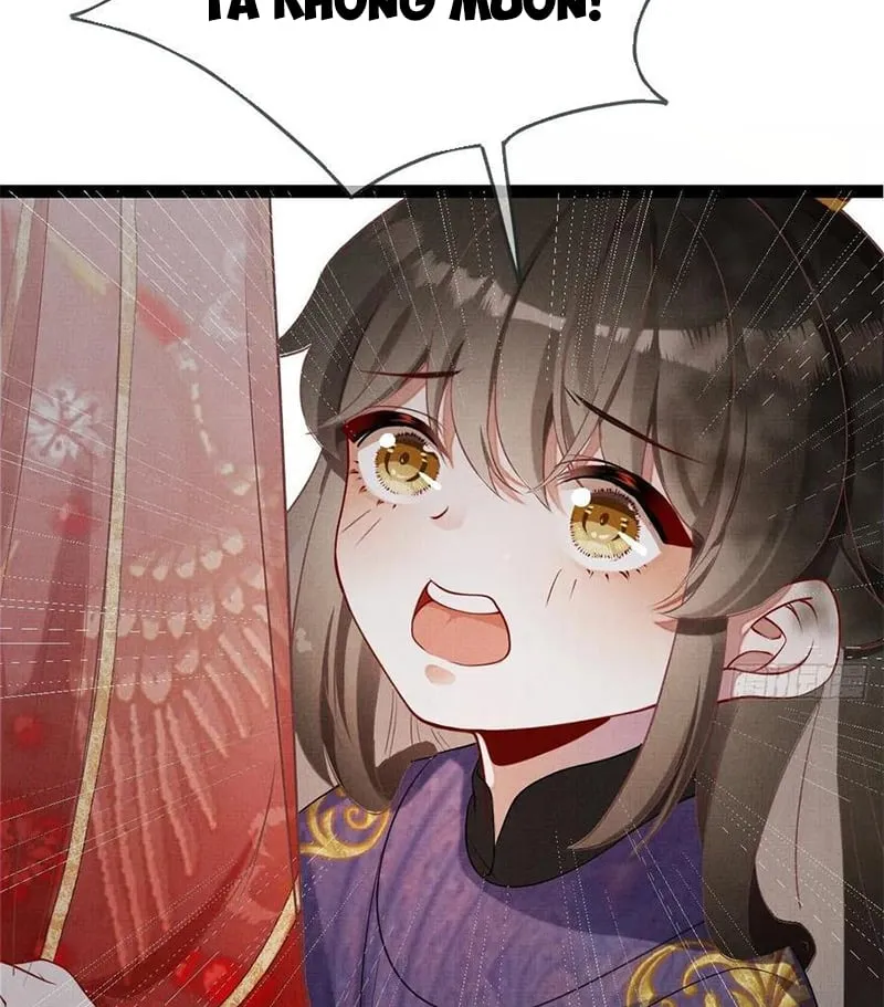 Tổ Chim Phượng Hoàng Chapter 4 - Trang 23