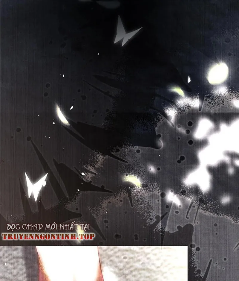 Tổ Chim Phượng Hoàng Chapter 5 - Trang 2