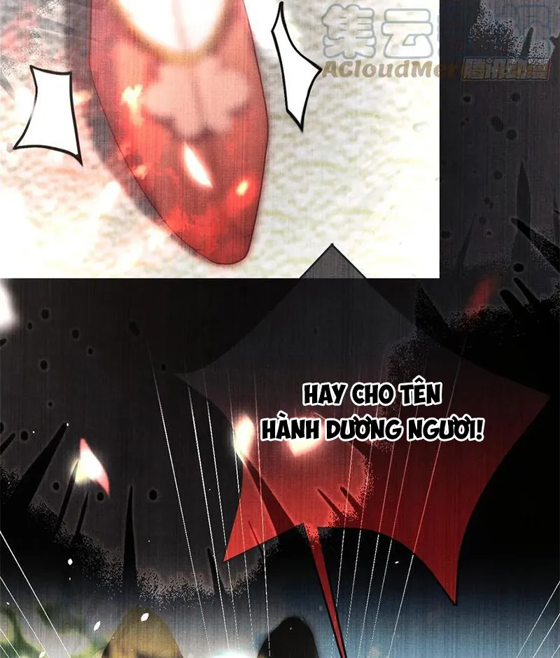 Tổ Chim Phượng Hoàng Chapter 5 - Trang 3