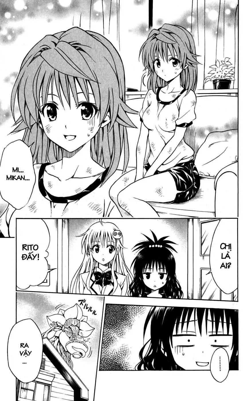To Love Ru Chapter 101 - Trang 5