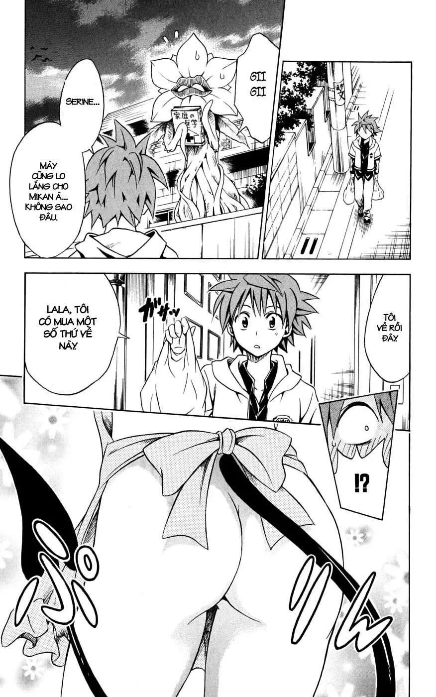 To Love Ru Chapter 104 - Trang 11