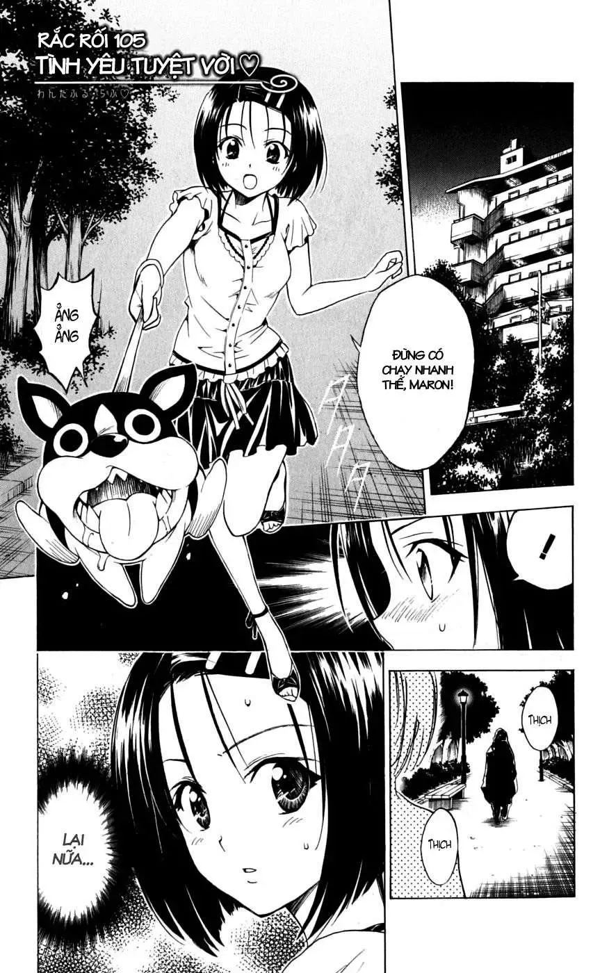 To Love Ru Chapter 105 - Trang 3