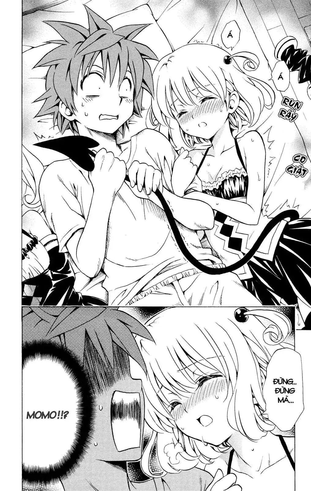 To Love Ru Chapter 116 - Trang 13