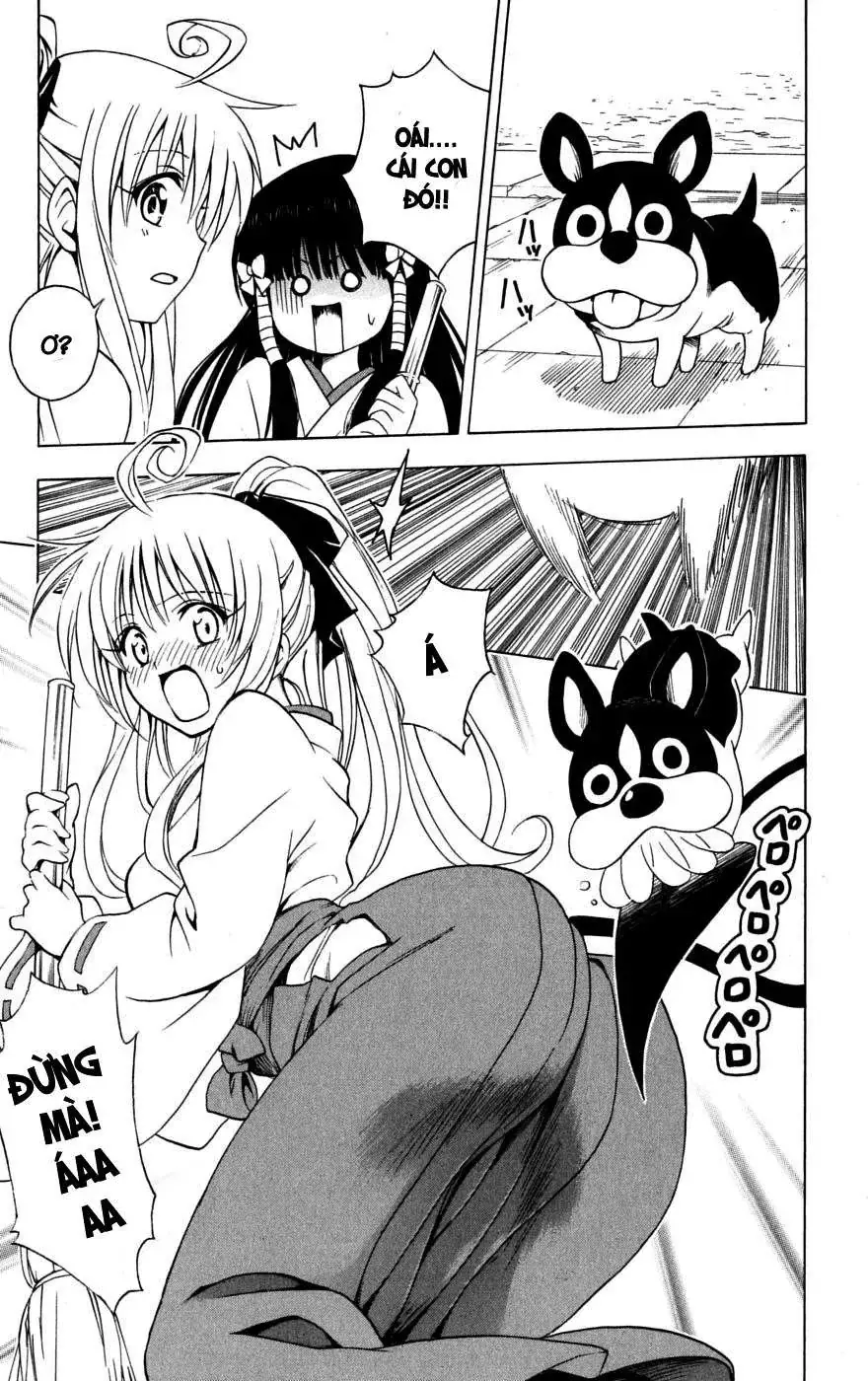 To Love Ru Chapter 134 - Trang 19