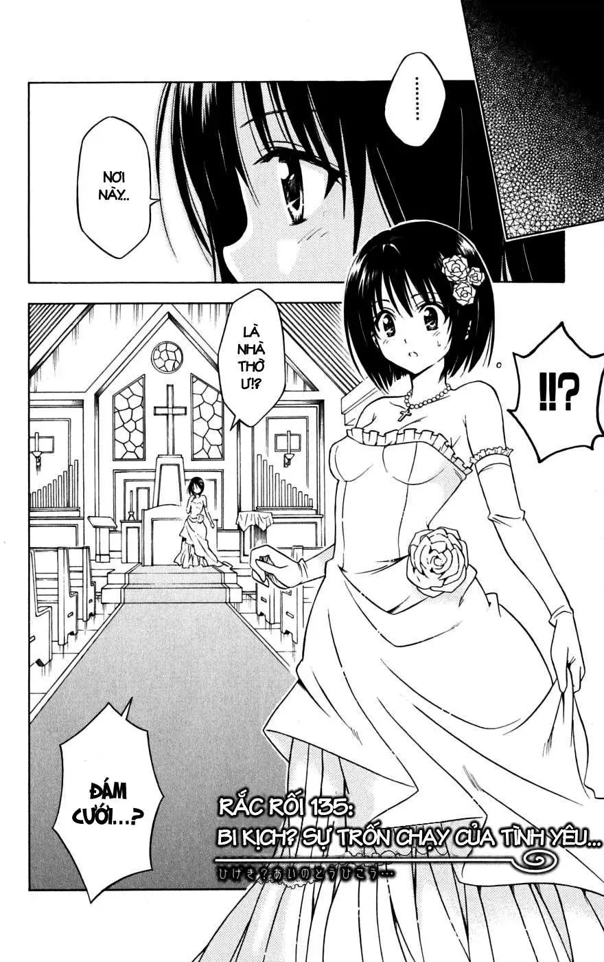 To Love Ru Chapter 135 - Trang 4