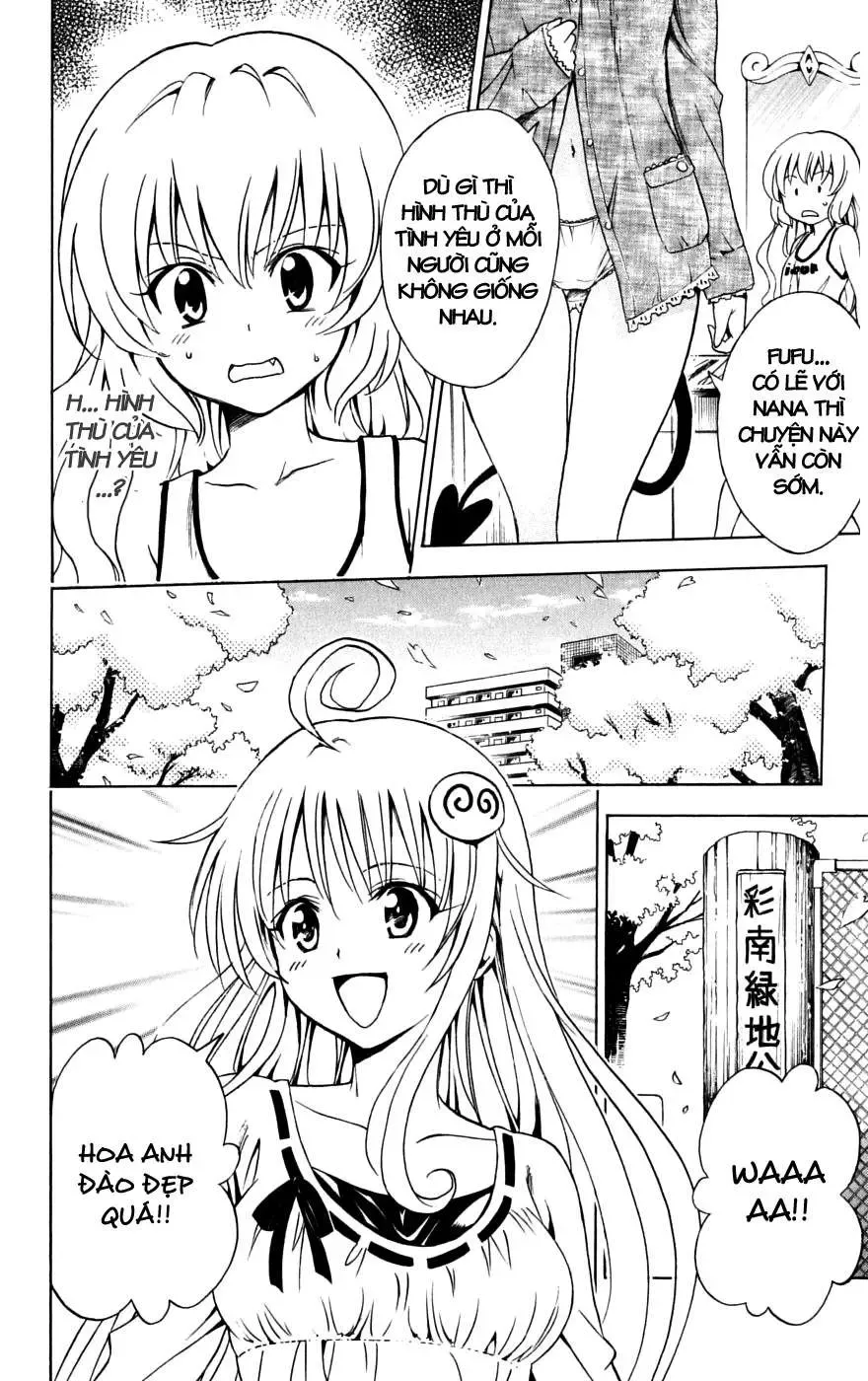 To Love Ru Chapter 141 - Trang 8