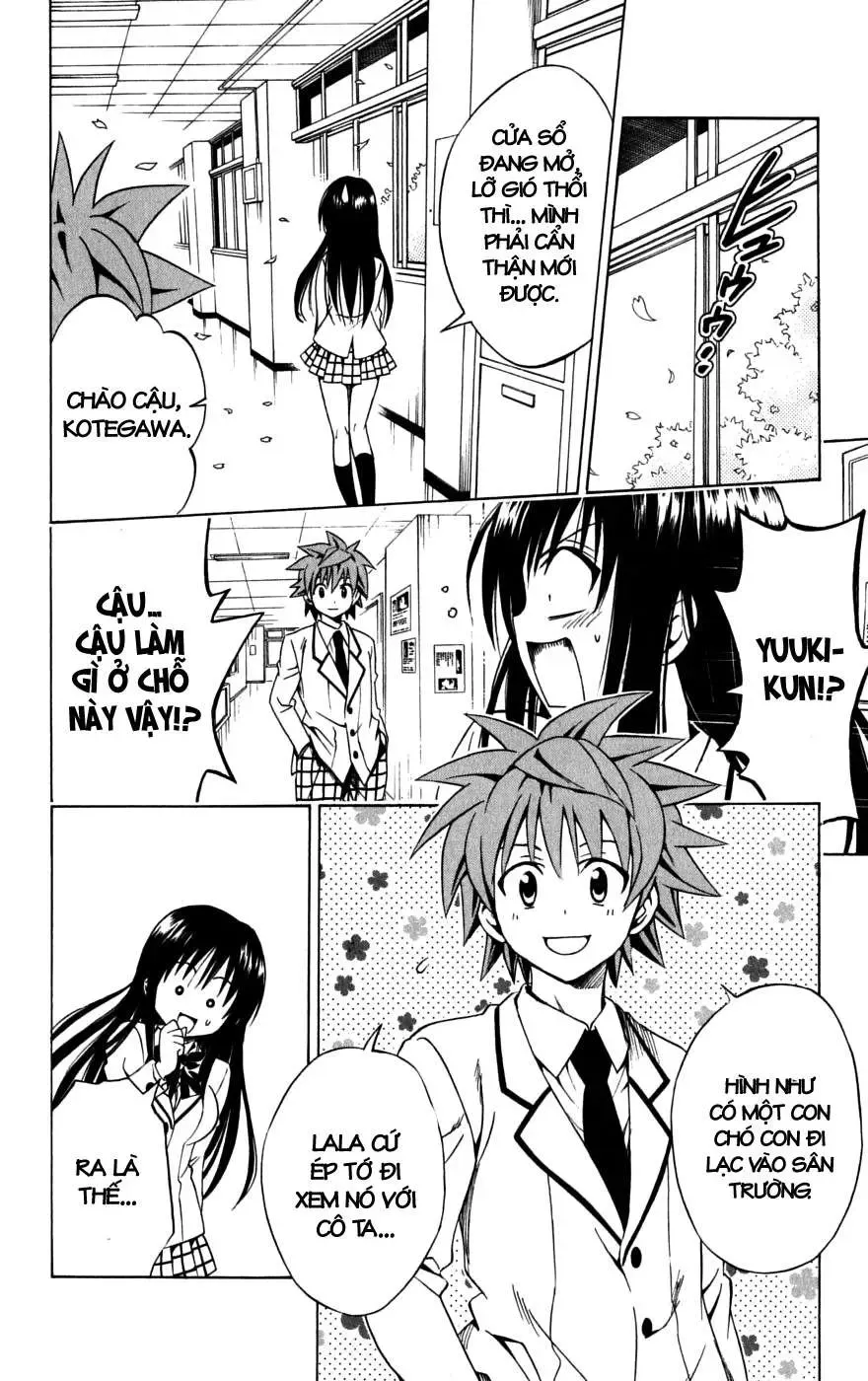 To Love Ru Chapter 142 - Trang 12