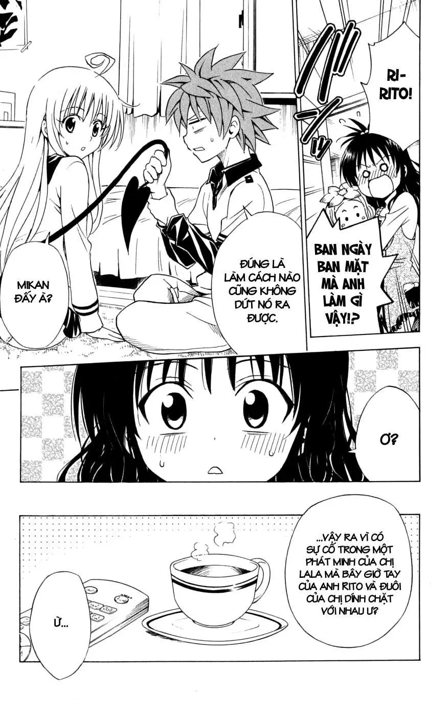 To Love Ru Chapter 143 - Trang 17