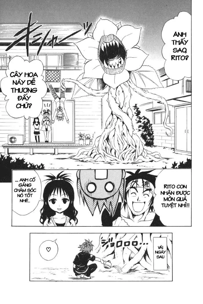 To Love Ru Chapter 27 - Trang 21