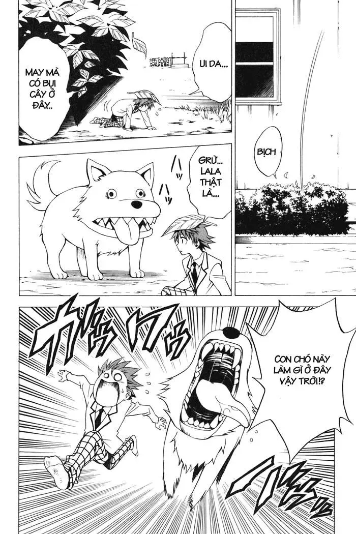 To Love Ru Chapter 29 - Trang 12