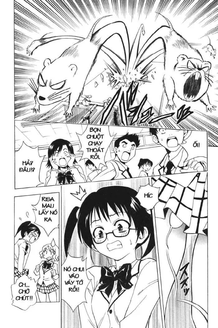 To Love Ru Chapter 31 - Trang 12