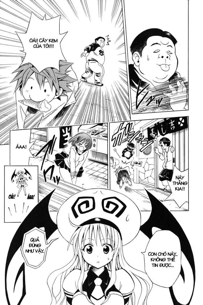 To Love Ru Chapter 43 - Trang 17