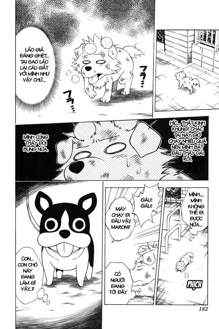 To Love Ru Chapter 43 - Trang 18